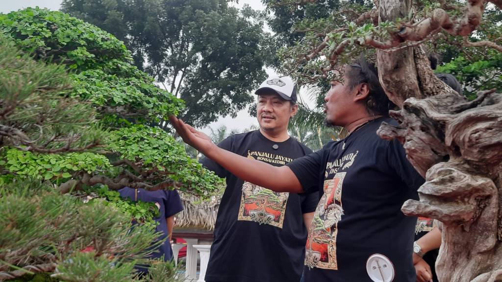 Pamnas Bonsai Kediri 2024 Dapat Apresiasi