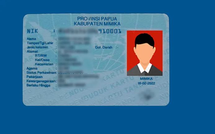 Cara Cek NIK KTP Terdaftar Secara Online, Ternyata Mudah dan&nbsp;Praktis