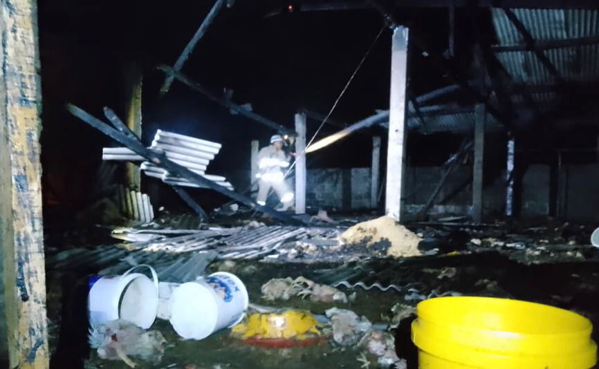 Kebakaran Kandang Ayam di Slemanan Blitar, Pemilik Rugi Rp 1&nbsp;Miliar